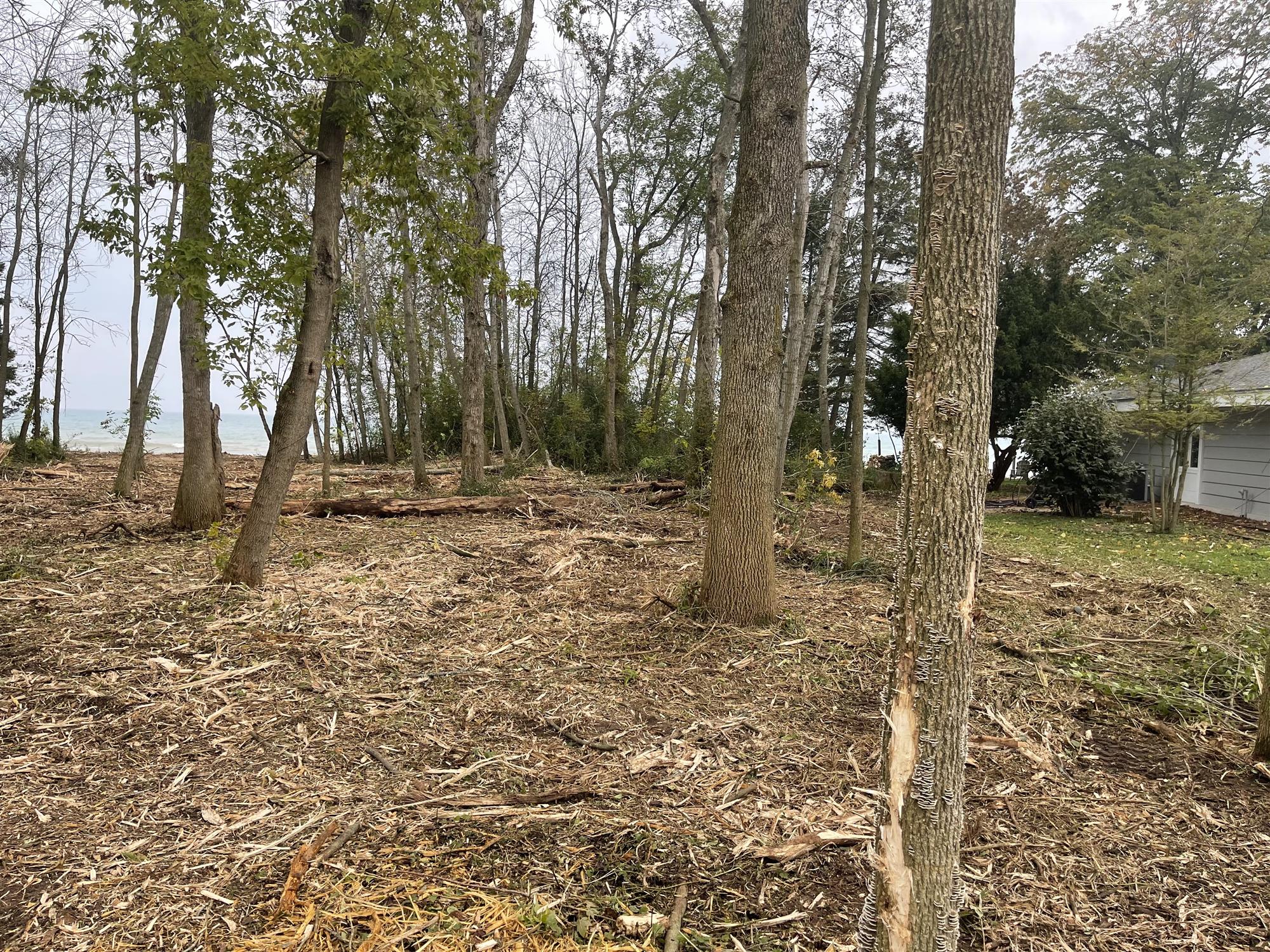 Land Clearing Services in Beaver Dam, WI