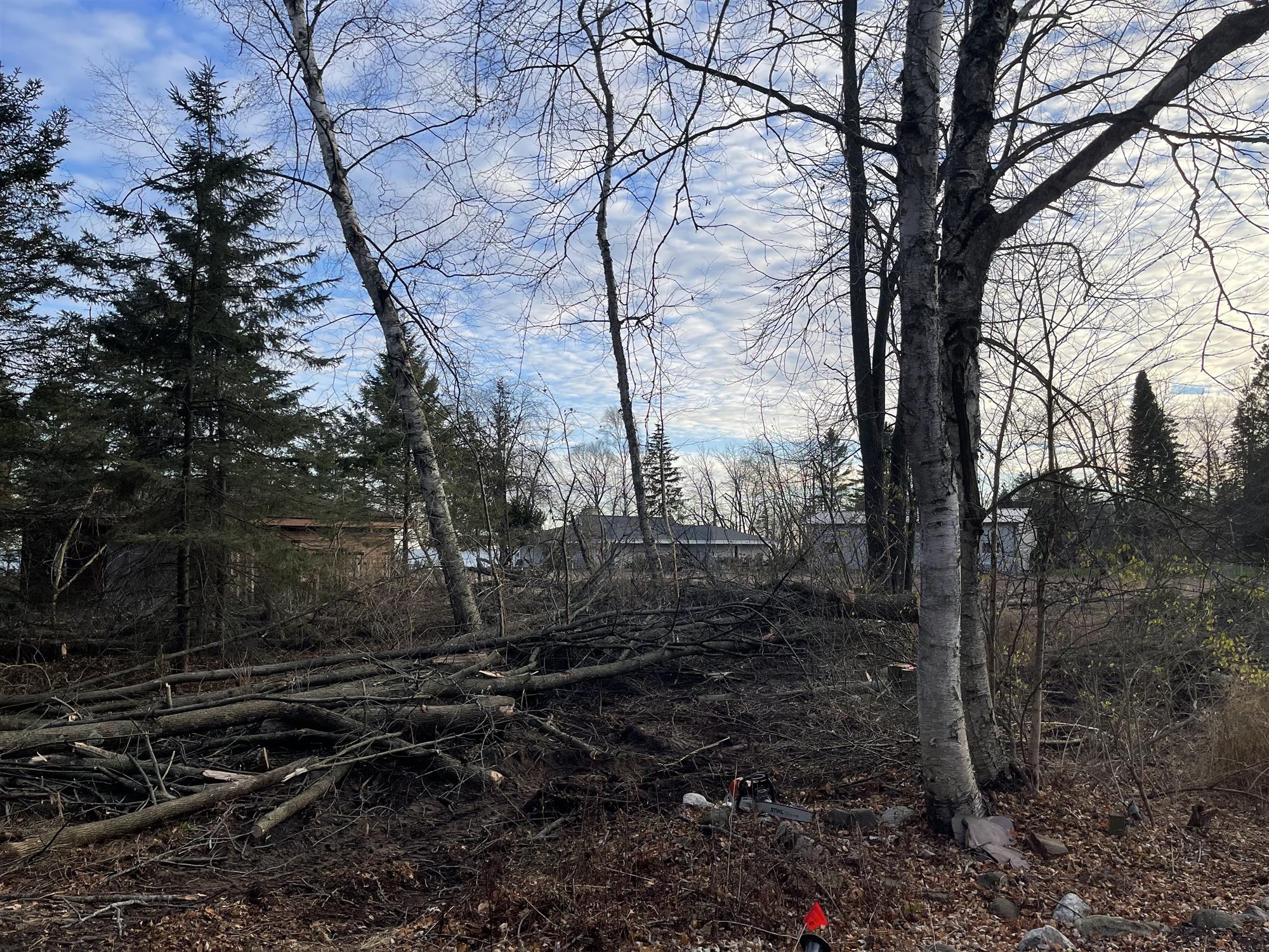 Land Clearing Services in Sussex, WI