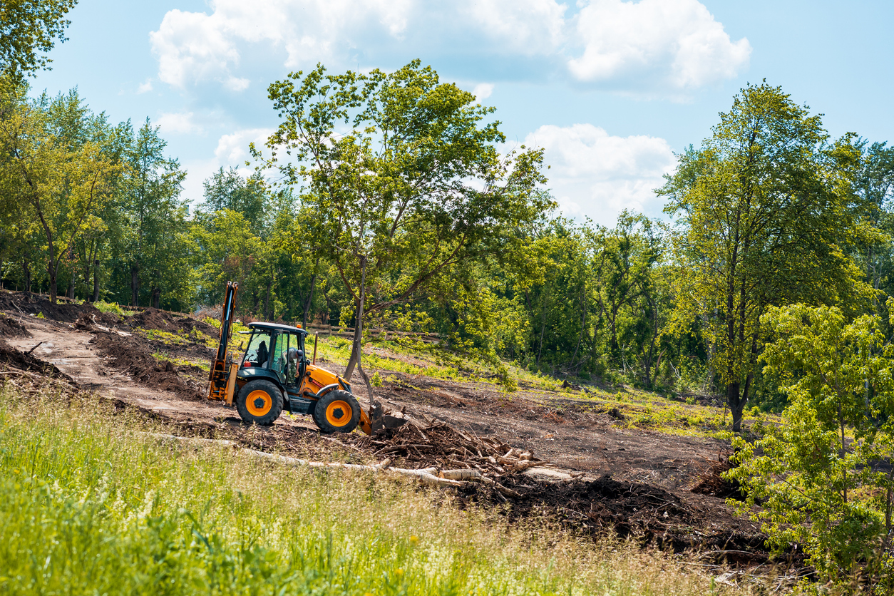 Land Clearing Services in Waupun, WI