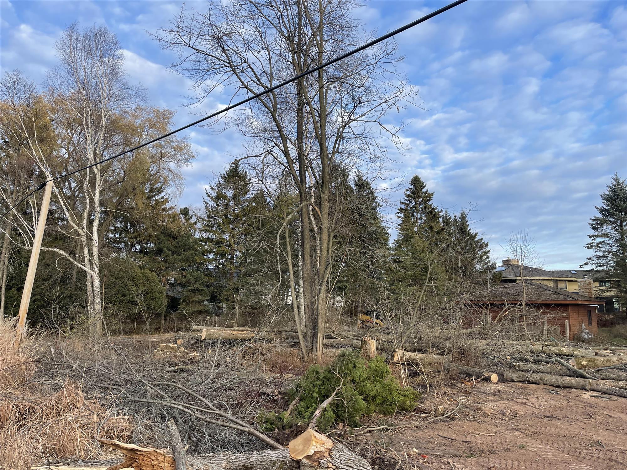 Land Clearing Services in Waukesha, WI